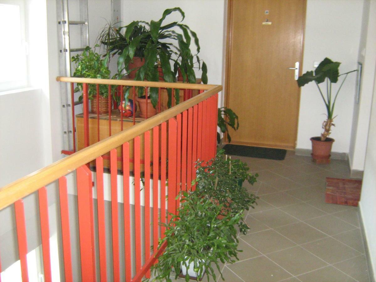 Apartment Diklic Senj  Bagian luar foto